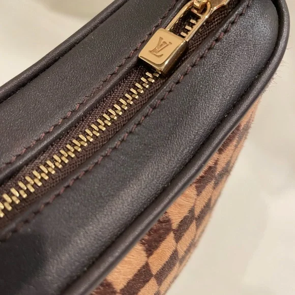 Louis Vuitton Damier Sauvage Leather Tigre Handbag - Picture 4 of 14